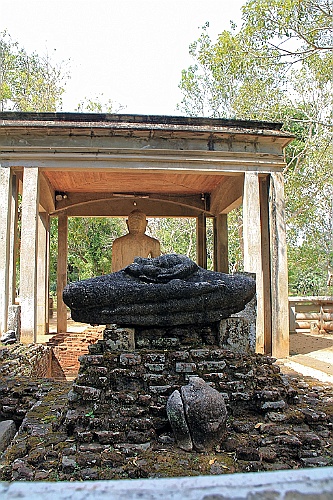 SriLan (201)